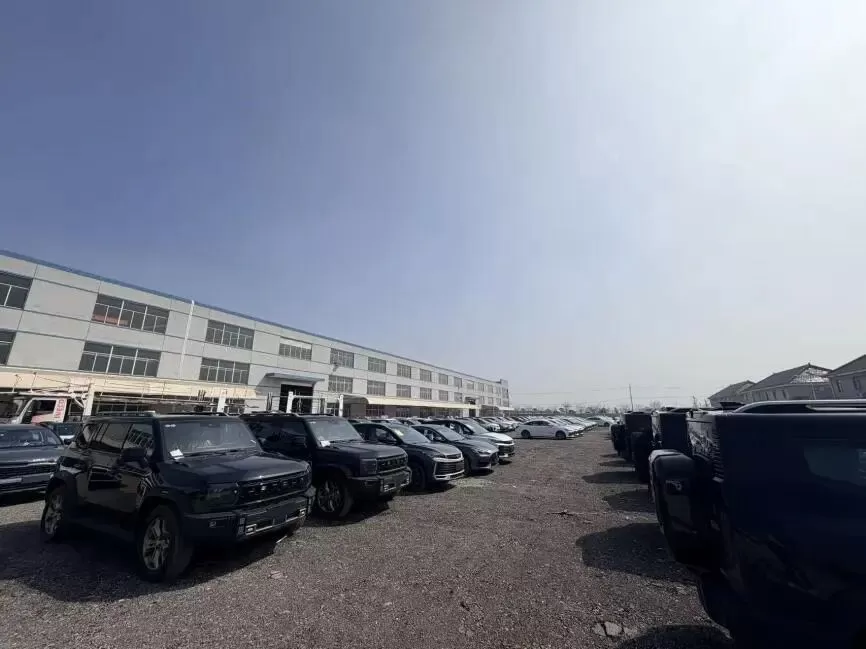 季度开门红.jpg